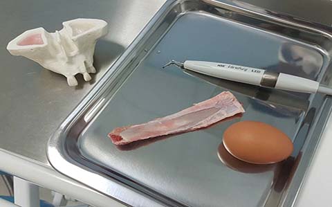 "VarioSurg3 Piezo Surgery Hands-on" ร่วมกับอาจารย์และนักศึกษา คณะทันตแพทยศาสตร์ มหาวิทยาลัยมหิดล